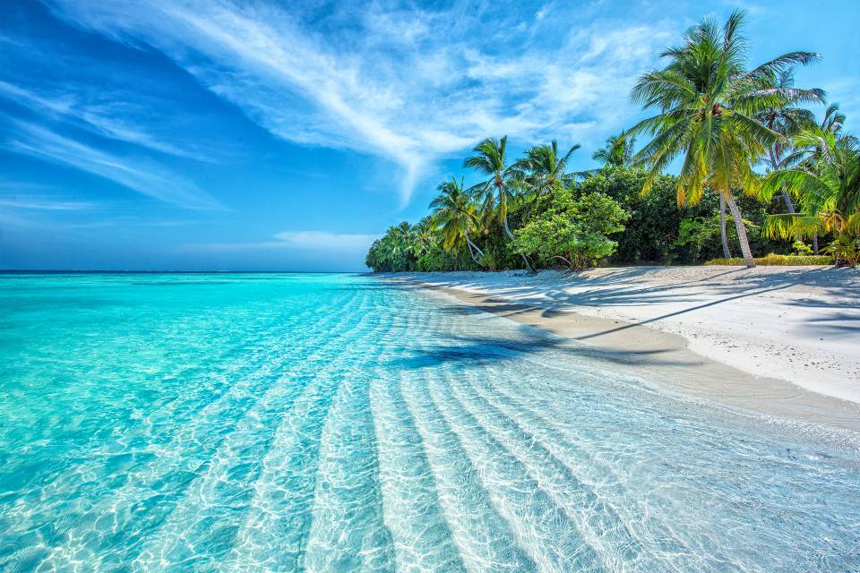 Theme-816-water.jpg